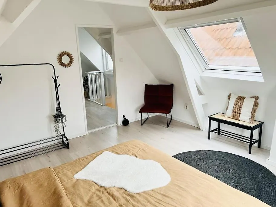 Apartment M Adam III Rotterdam 0*,